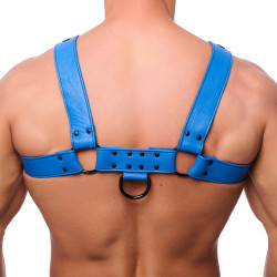 The Red Harness Harnais en cuir Snap Bleu